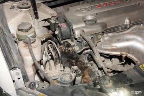 Maintenance case: Passat speed, increase in engine speed is not enough to troubleshoot
